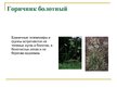 Presentations 'Охряаняемые растения, находящиеся в Красной книге Латвий', 14.