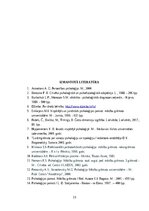 Research Papers 'Raksturs – cilvēka individuālpsiholoģiskās īpašības', 15.