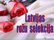 Presentations 'Latvijas rožu selekcija', 1.