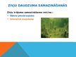 Presentations 'Baltijas jūras dabas resursi', 6.