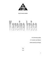 Research Papers 'Kazeīna krāsa', 1.