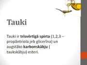 Presentations 'Tauki', 1.