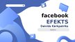 Presentations 'Facebook efekts. Grāmatas prezentācija', 1.