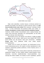 Research Papers 'Brīvās zonas Latvijā', 5.