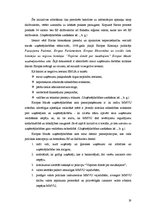 Term Papers 'Uzņēmējdarbības attīstības iespējas Bauskas reģionā', 19.