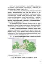 Term Papers 'Uzņēmējdarbības attīstības iespējas Bauskas reģionā', 48.