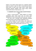 Term Papers 'Uzņēmējdarbības attīstības iespējas Bauskas reģionā', 119.