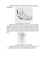 Research Papers 'Hiperpronācijas novēršana, izmantojot dažādas pēdu ortozes', 36.