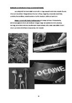 Research Papers 'Narkotiku ietekme uz organismu', 10.