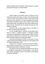 Essays 'Jēdzienu interpretācija socioloģiskā pētījumā', 4.