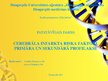 Presentations 'Cerebrāla infarkta riska faktori, primāra un sekundāra profilakse', 1.