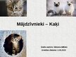 Presentations 'Mājdzīvnieki - kaķi', 1.