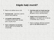 Presentations 'Mājdzīvnieki - kaķi', 6.