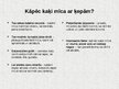 Presentations 'Mājdzīvnieki - kaķi', 7.