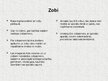 Presentations 'Mājdzīvnieki - kaķi', 20.