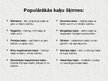 Presentations 'Mājdzīvnieki - kaķi', 30.