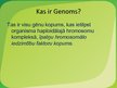 Presentations 'Genoma mutācija', 2.