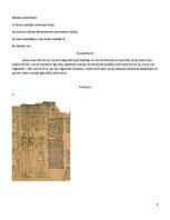 Research Papers 'Senēģiptiešu literatūra', 8.