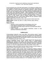 Business Plans 'Jauna permanentu rotaslietu uzņēmuma konkurētspēja Latvijas tirgū', 2.