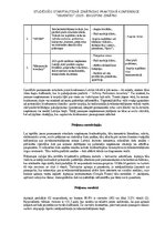 Business Plans 'Jauna permanentu rotaslietu uzņēmuma konkurētspēja Latvijas tirgū', 4.