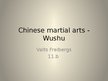 Presentations 'Chinese martial arts - Wushu', 1.