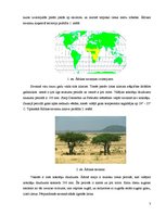 Research Papers 'Āfrikas savanna', 3.