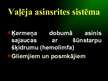 Presentations 'Asinsrites sistēma', 4.