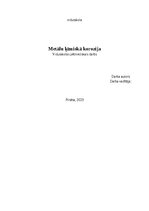 Term Papers 'Metālu ķīmiskā korozija', 1.