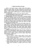 Term Papers 'Metālu ķīmiskā korozija', 7.