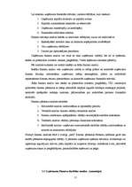 Term Papers 'Finansiālās darbības analīze SIA “Elegants RDI”', 17.