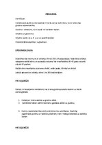 Summaries, Notes 'Klīniskā pataloģija - Celiakija, Kairinātu zarnu sindroms, Aknas un to pataloģij', 1.