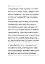 Essays 'Starptautiskās organizācijas: nozīme, struktūra un globālā sadarbība', 1.