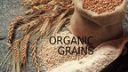 Presentations 'Organic Grains', 1.