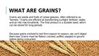 Presentations 'Organic Grains', 2.