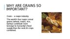 Presentations 'Organic Grains', 3.