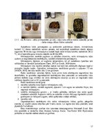 Research Papers 'Mikroaļğu ekstraktu izmantošanas efektivitāte un ekonomiskais pamatojums mikroza', 17.
