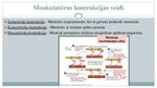 Presentations 'Muskuļu kontrakcijas, pamatmehānisms, enerģijas avoti un kā tie tiek atjaunoti', 3.
