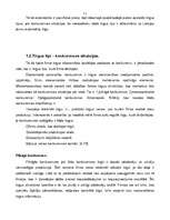 Term Papers 'Latvijas auto tirgus analīze', 11.