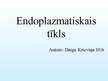 Presentations 'Endoplazmatiskais tīkls', 1.