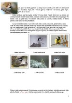 Research Papers 'Cilvēka ietekme uz putnu ligzdošanas periodā', 7.