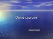 Presentations 'Ozona caurums', 1.