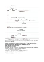 Summaries, Notes 'Latvijas tiesību vēsture', 17.