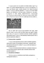 Summaries, Notes 'Pseudomonas aeruginosa', 4.