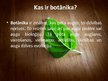 Presentations 'Botānika un augi', 2.