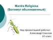 Presentations 'Mantis Religiosa', 1.