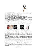 Research Papers 'Darba aizsardzības instrukcija darbam ar trimmeri krūmgriezēju', 11.