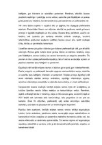 Essays 'Lietišķās etiķetes normas profesionālajā vidē', 4.