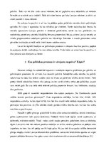 Essays 'Politika un politiskie procesi', 4.