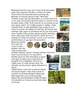 Research Papers 'Dabas un dzīvnieku aizsardzība', 1.