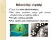 Presentations 'Bakteriofāgi', 2.